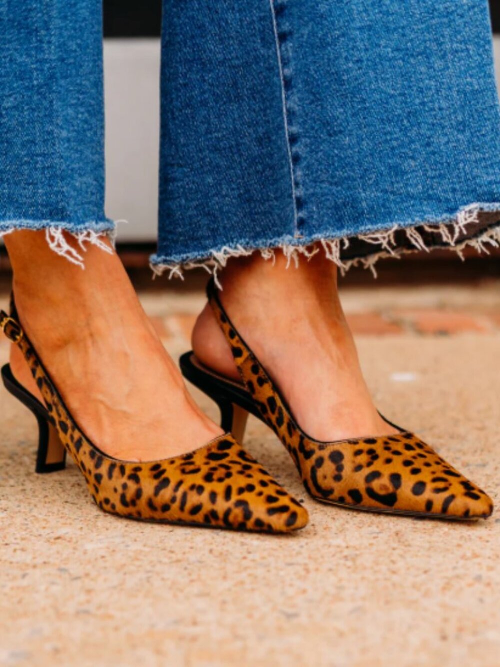 Sam Edelman Bianka Slingback Kitten Heels in Leopard